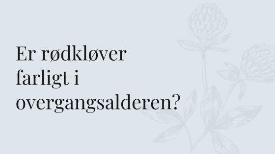 Rødkløver i overgangsalderen